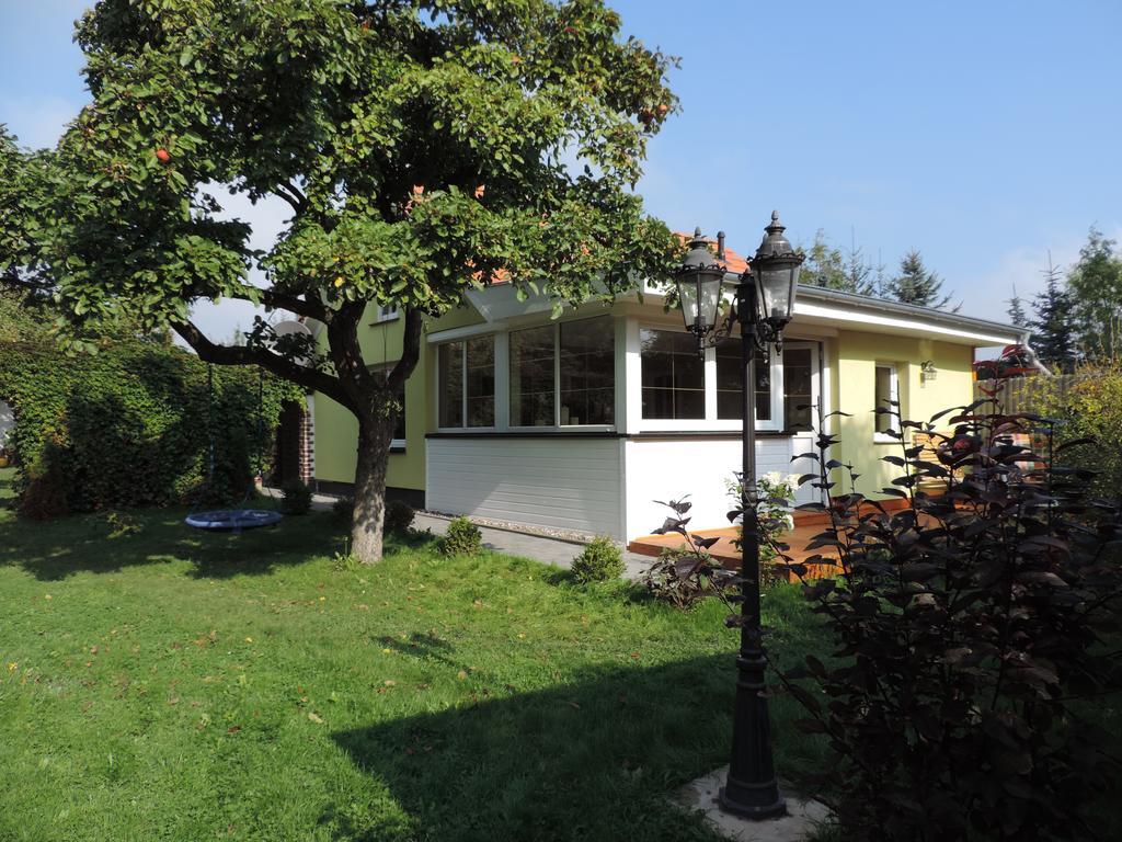 Ferienhaus Baldamus In Blankenburg Blankenburg  Rum bild